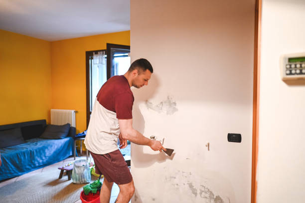 Best Residential Mold Remediation in Loris, SC